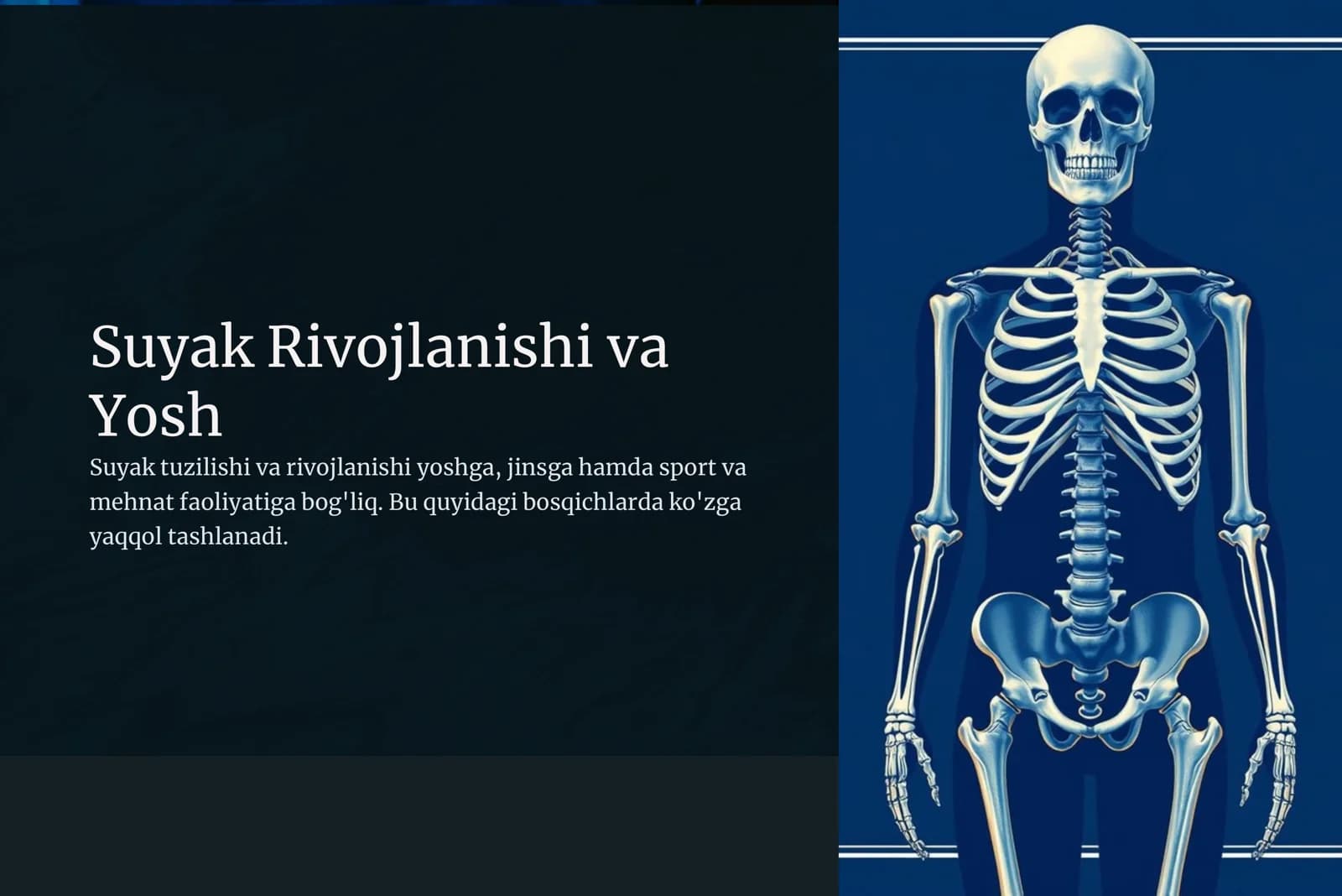 Suyak Rivojlanishi va Yosh