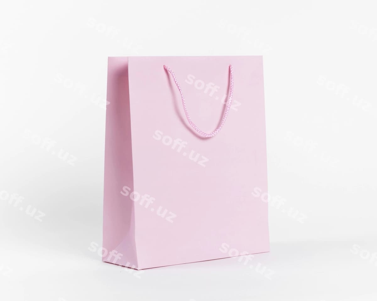 Qog'oz sumka konseptsiyasi bilan namuna | Paper bag concept with mock up