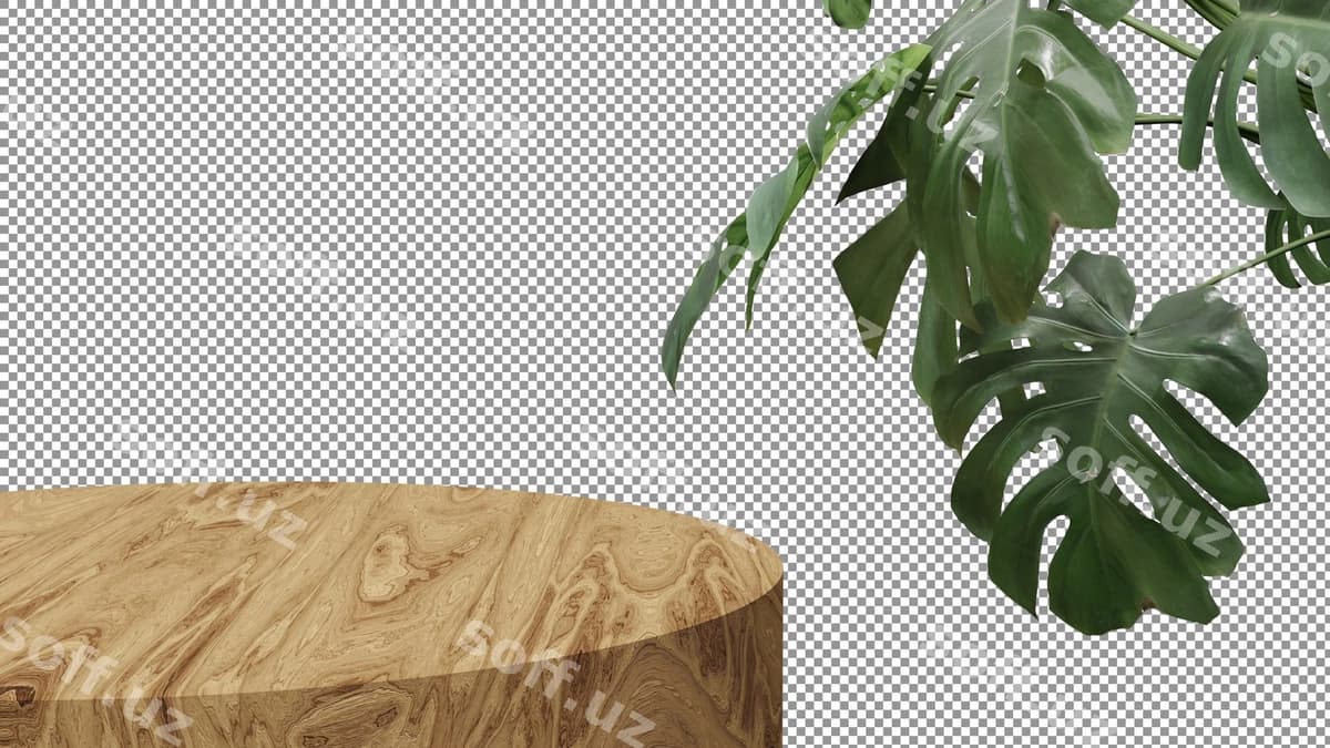 O'simlik yunli stolda o'tmoqda. | Plant is sitting wooden table