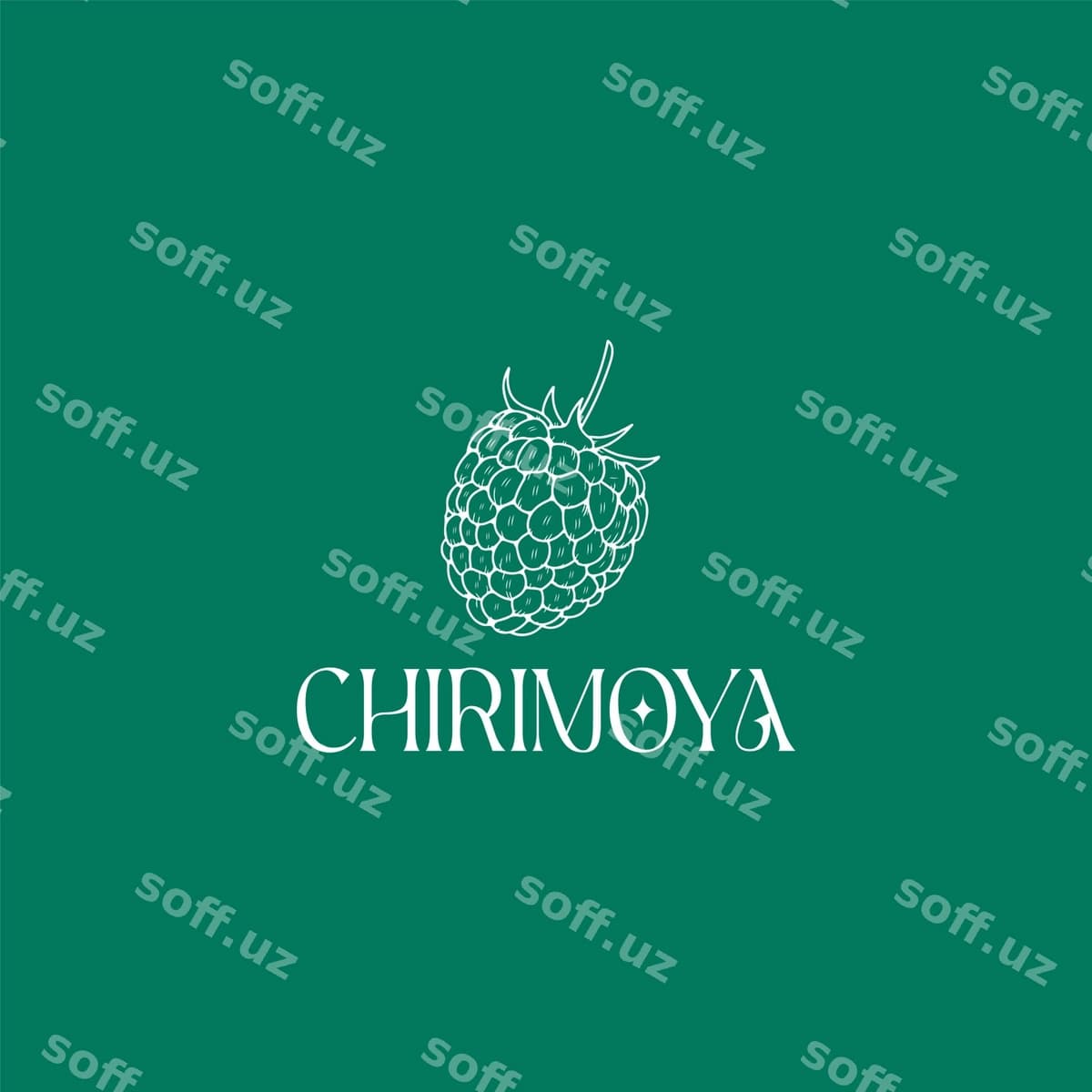 Premiyalogo dizayni | Premium logo design