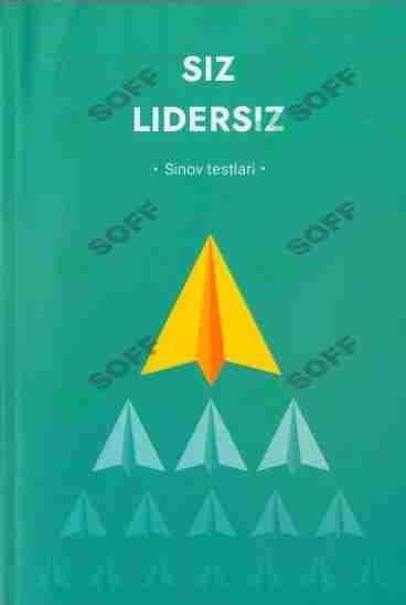 Siz lidersiz