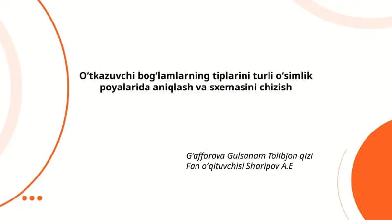 Monokotil oʻsimlik poyasi