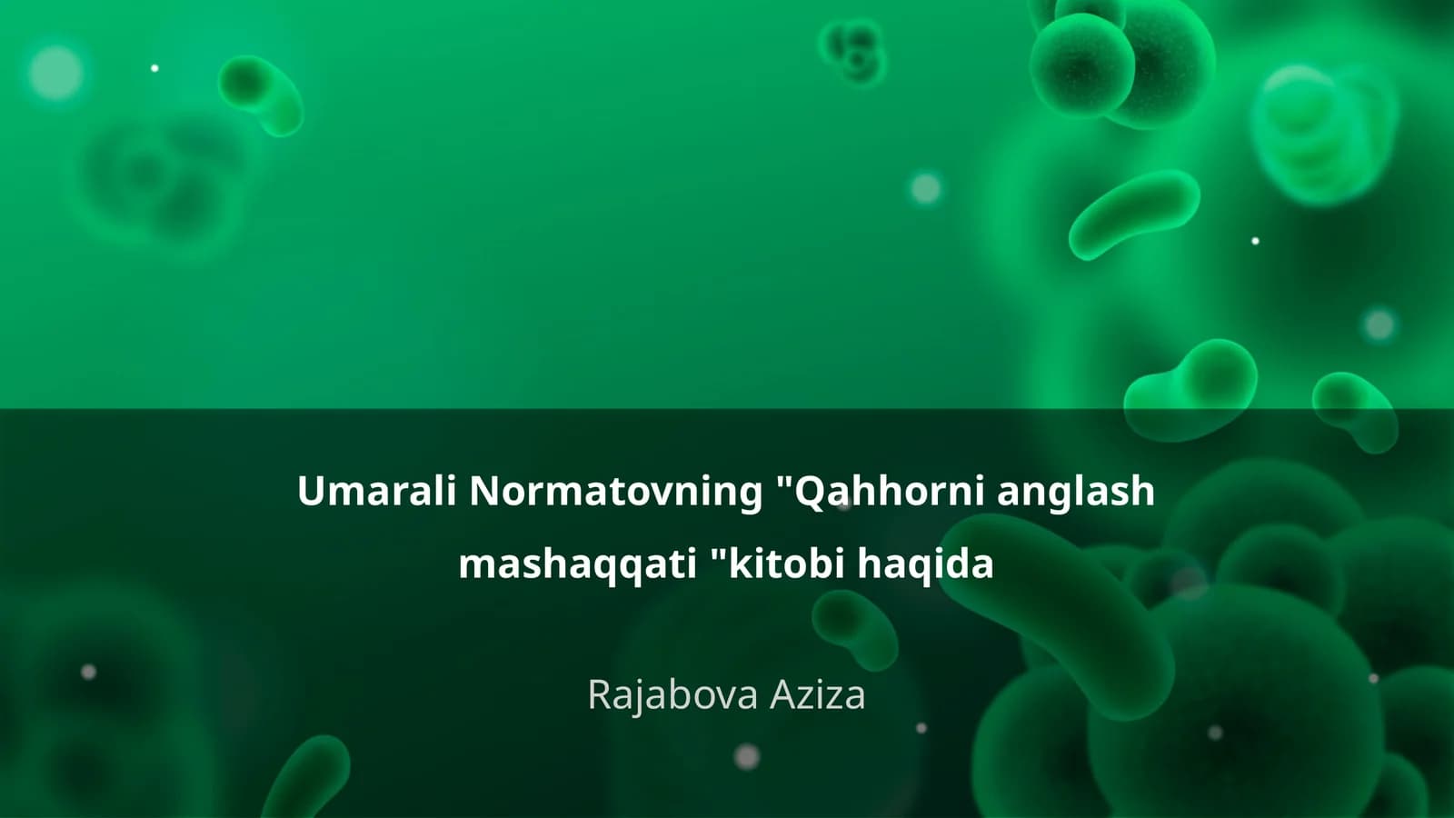 Qahhorni anglash mashaqqati kitobi haqida