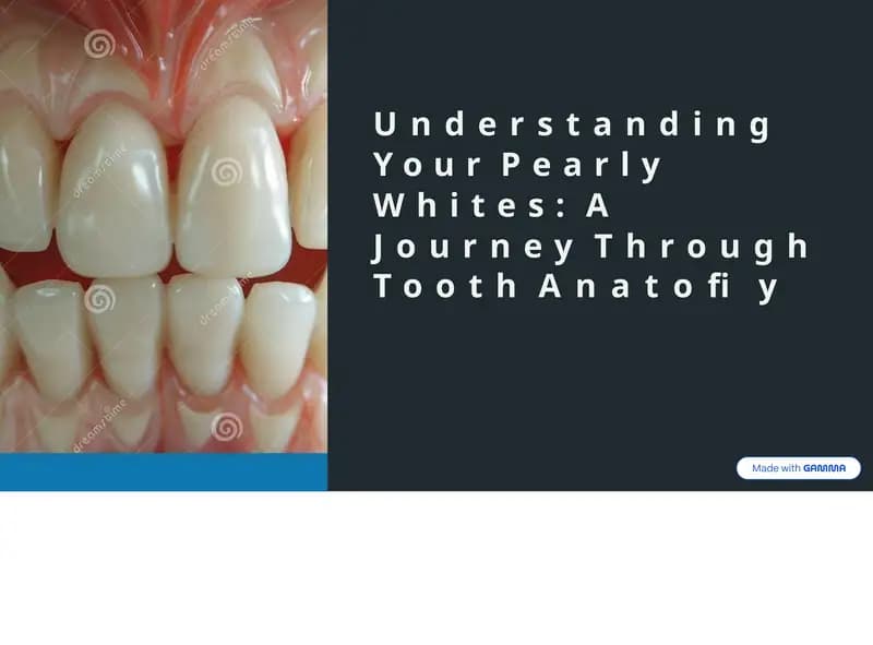 Understanding Your Pearly Whites: A Journey Through Tooth Anatomy