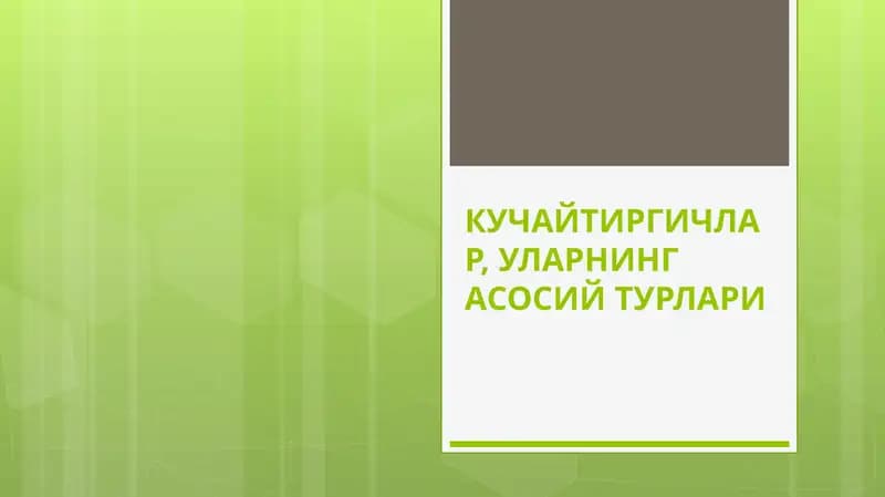 Кучайтиргичлар