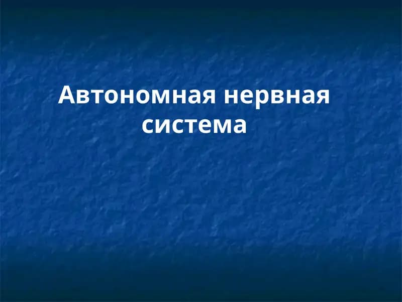 Верхний шейный узел