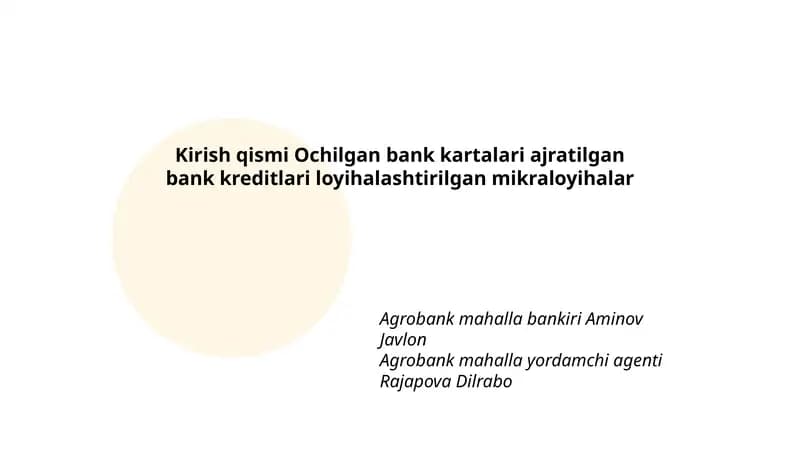 Mikrolayihalar