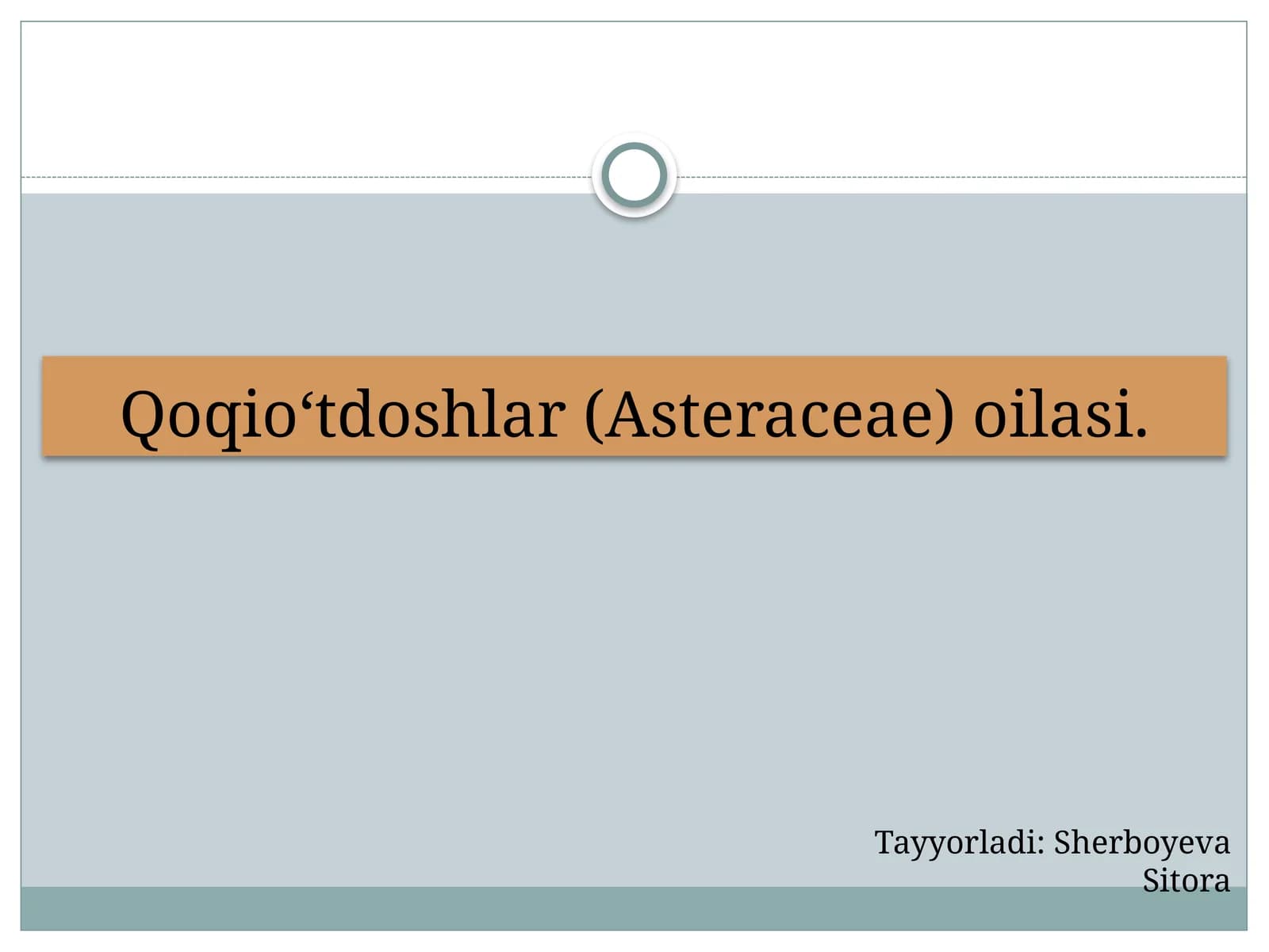 Qoqio‘tdoshlar (Asteraceae) oilasi