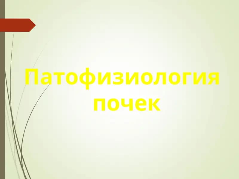 Патофизиология почек