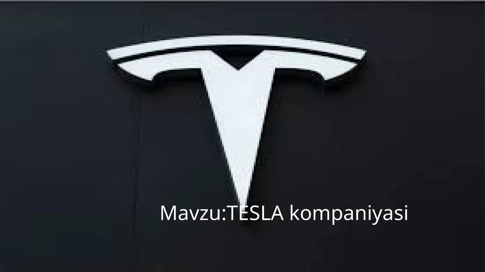 TESLA kompaniyasi