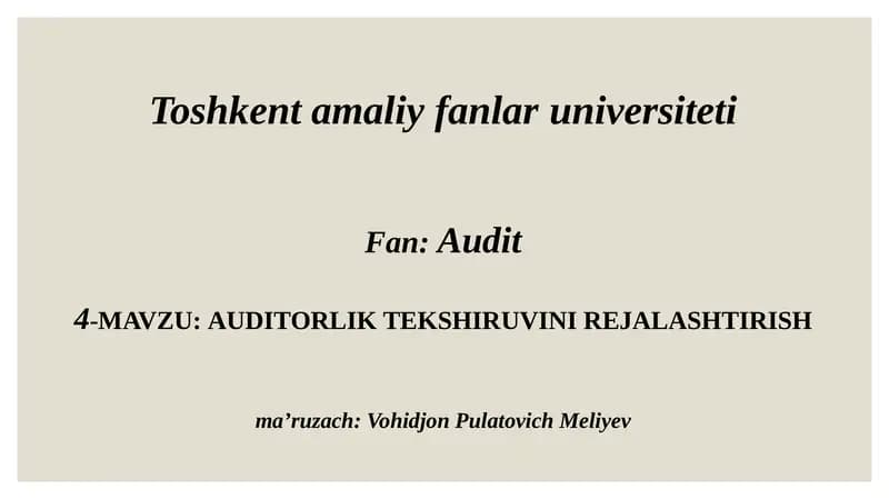 AUDITORLIK TEKSHIRUVINI REJALASHTIRISH