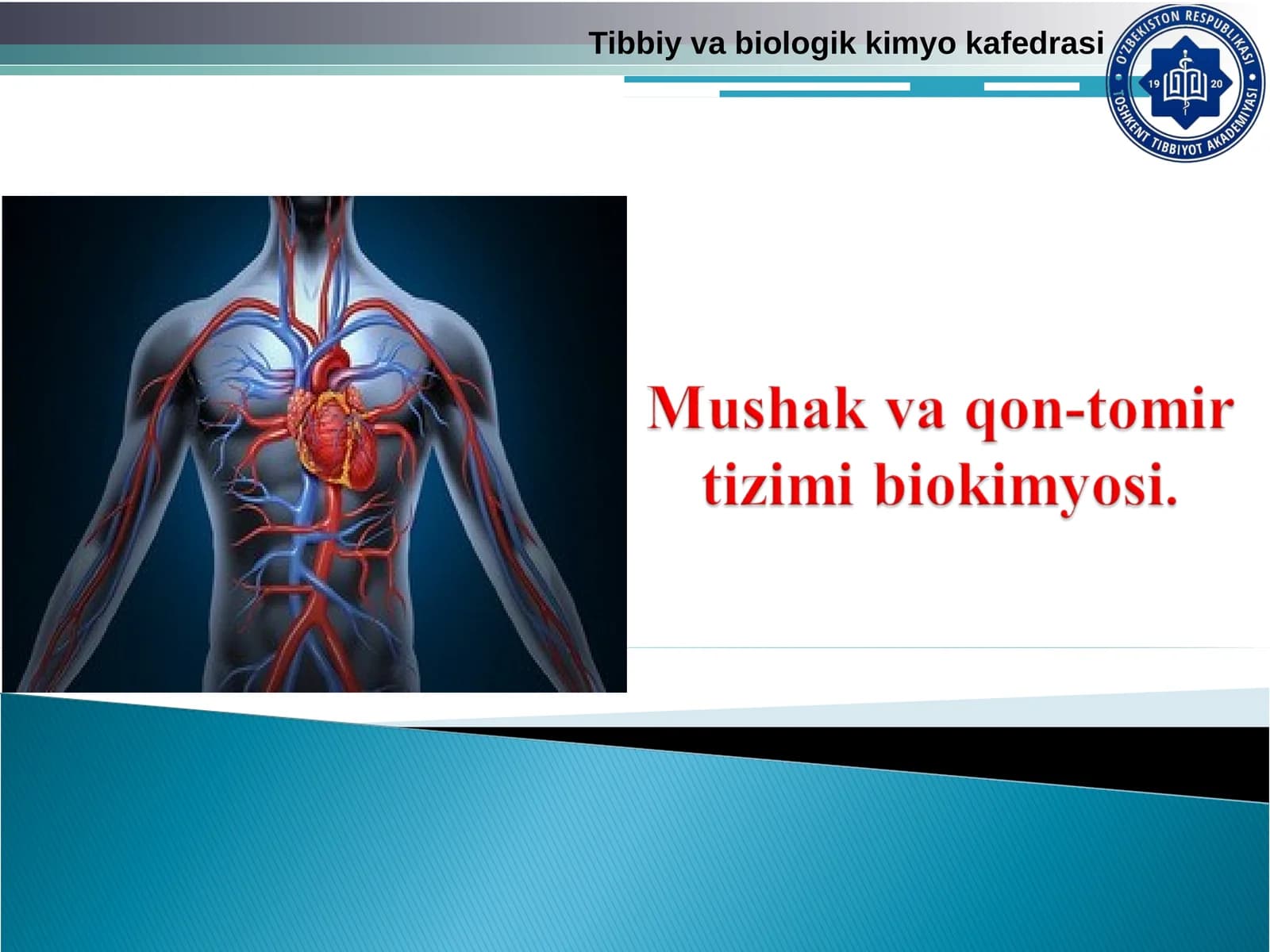 Mushak va qon-tomir tizimi biokimyosi