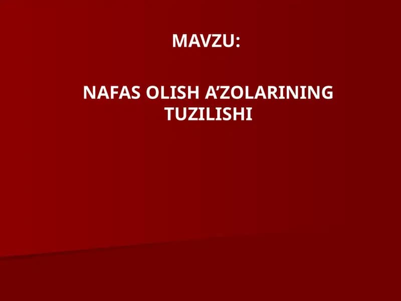NAFASOLISHA’ZOLARINING TUZILISHI