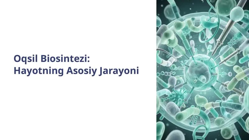Oqsil Biosintezi: Hayotning Asosiy Jarayoni