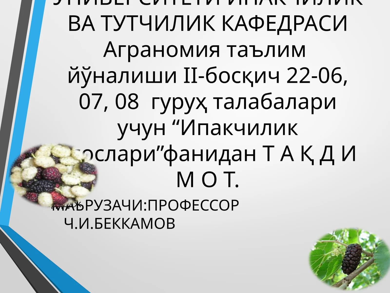 Ипакчилик асослари