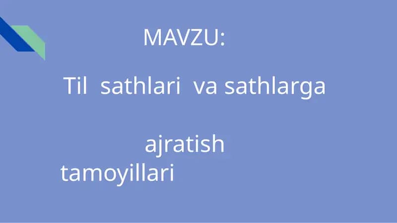 Til sathlari va sathlarga ajratish tamoyillari