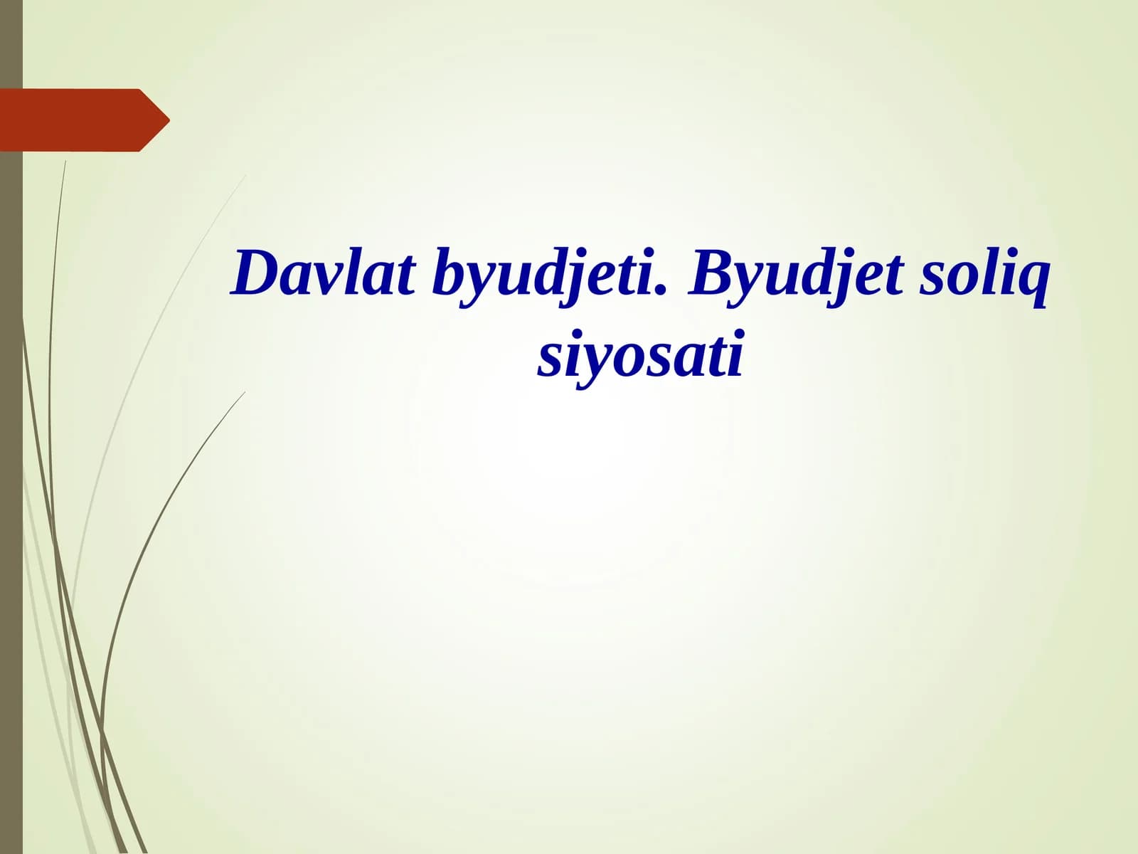 Davlat byudjeti. Byudjet soliq siyosati