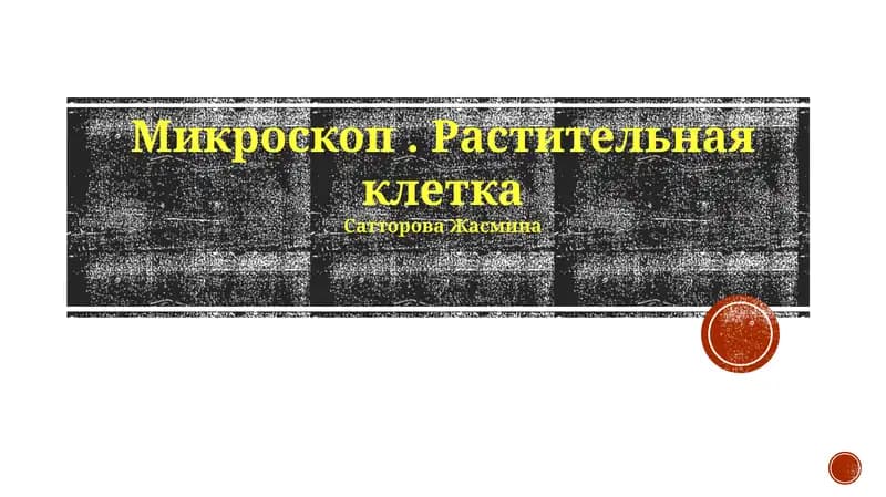 Растительная клетка