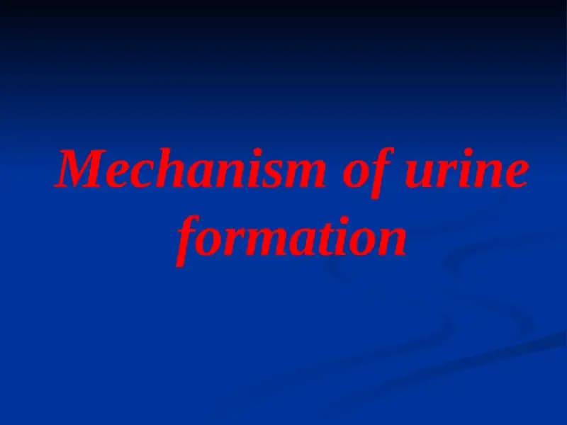 Mechanism of urine formation
