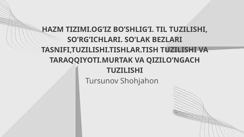 HAZM TIZIMI