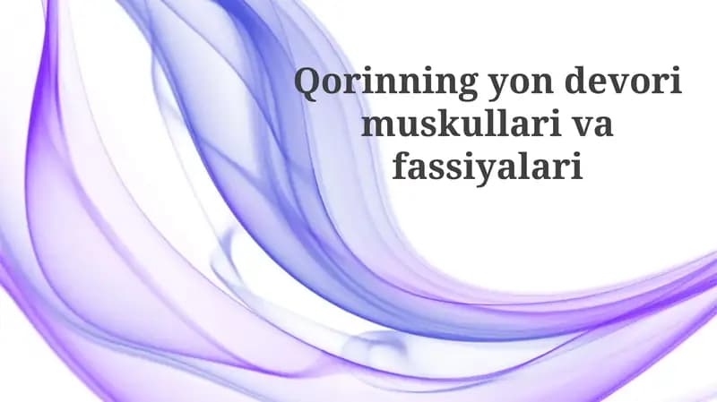 Yon Qorin Devori Mushaklari