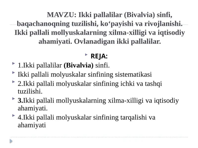 Ikki pallalilar (Bivalvia) sinfi