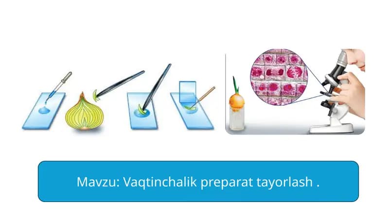 Vaqtinchalik preparat tayorlash .