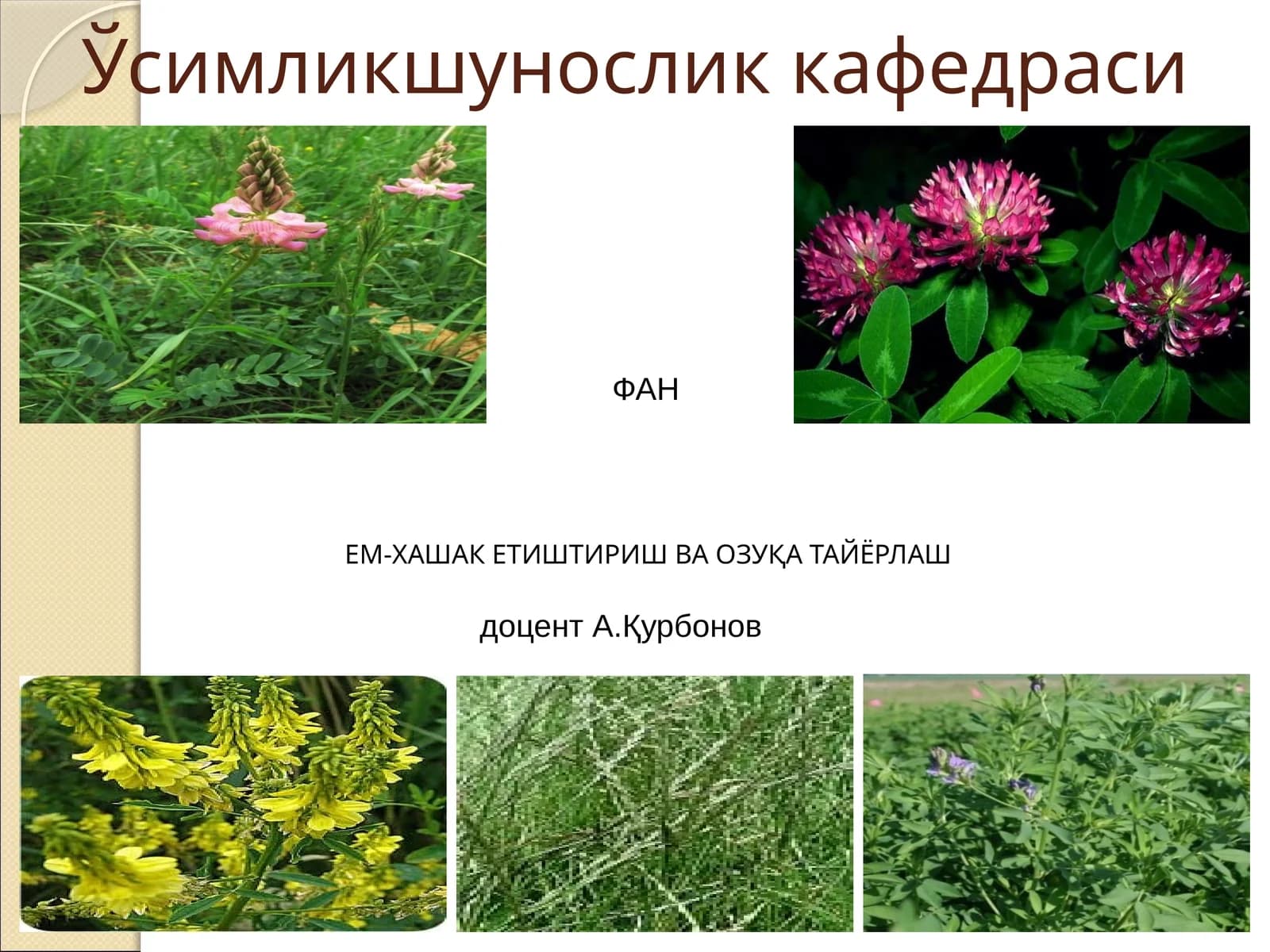 Ўсимликшунослик кафедраси