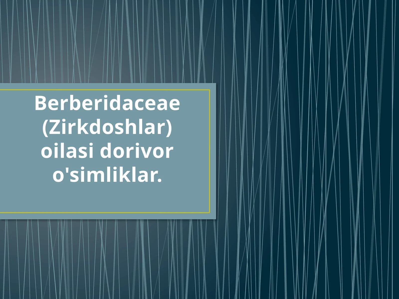 Zirkdoshlar Oilasi