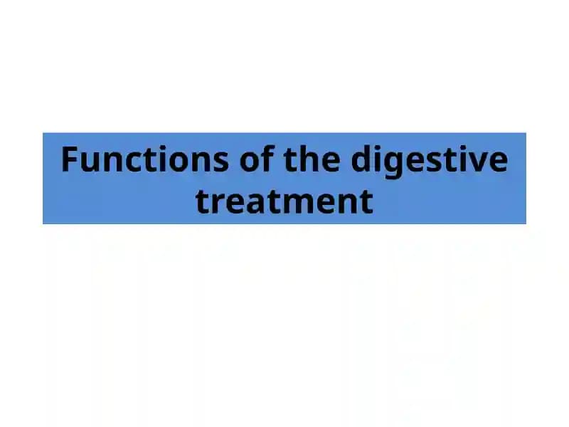 Functions of the digestive treatment