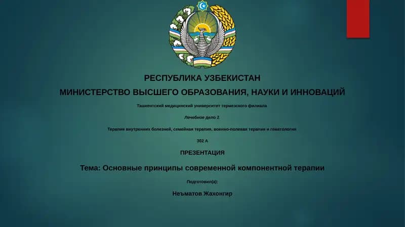 Лечебное дело 2