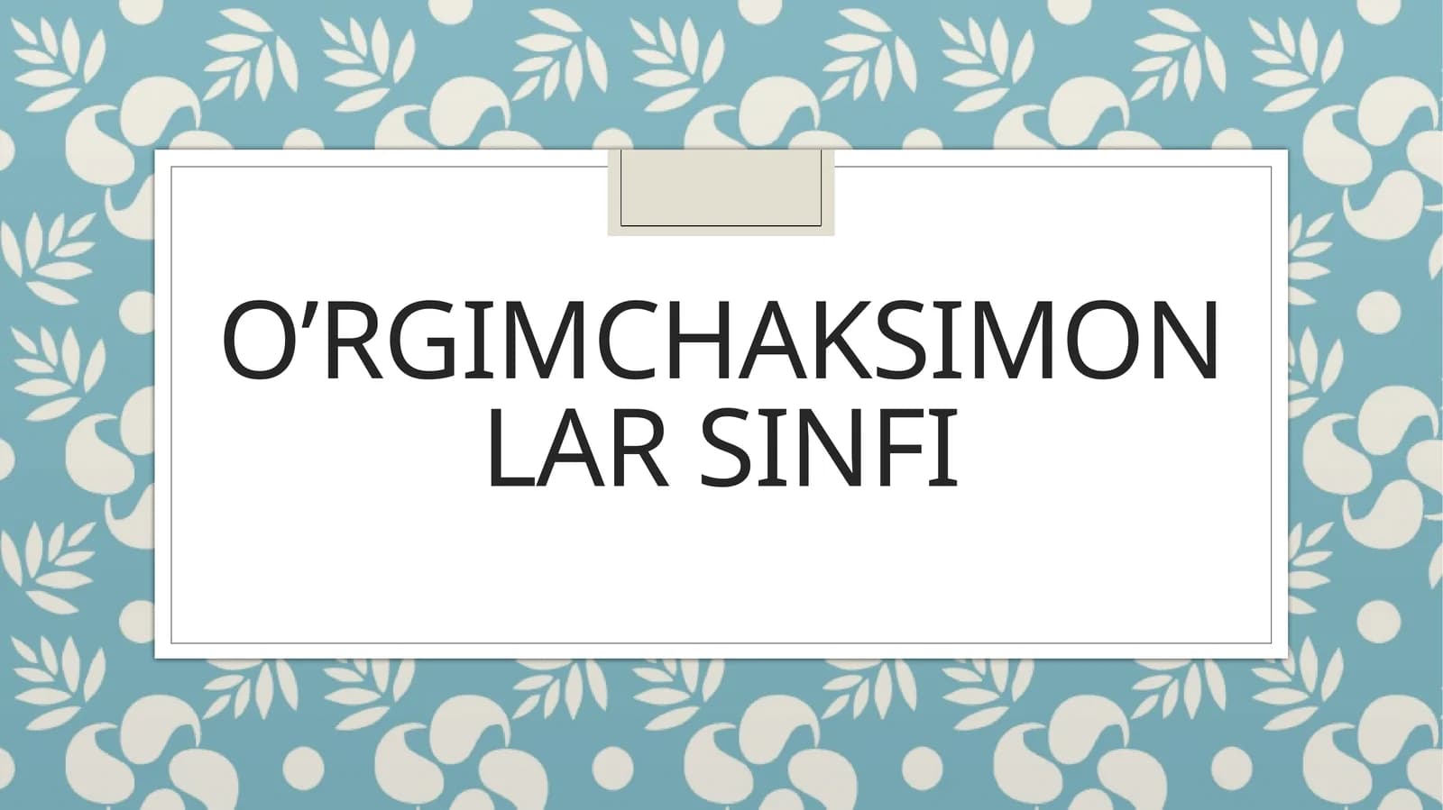 O’rgimchaksimonlar sinfi
