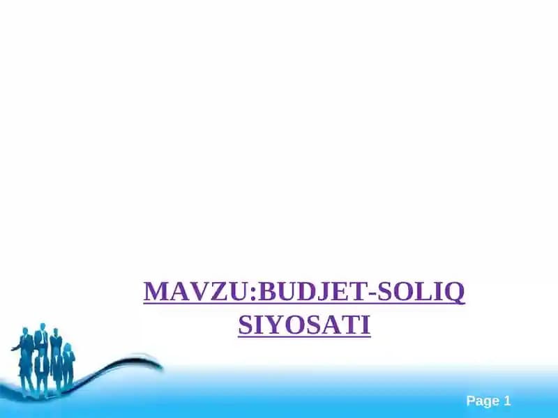 BUDJET-SOLIQ SIYOSATI