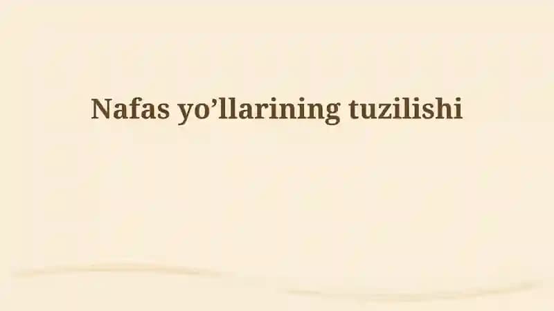 Nafas yo’llarining tuzilishi