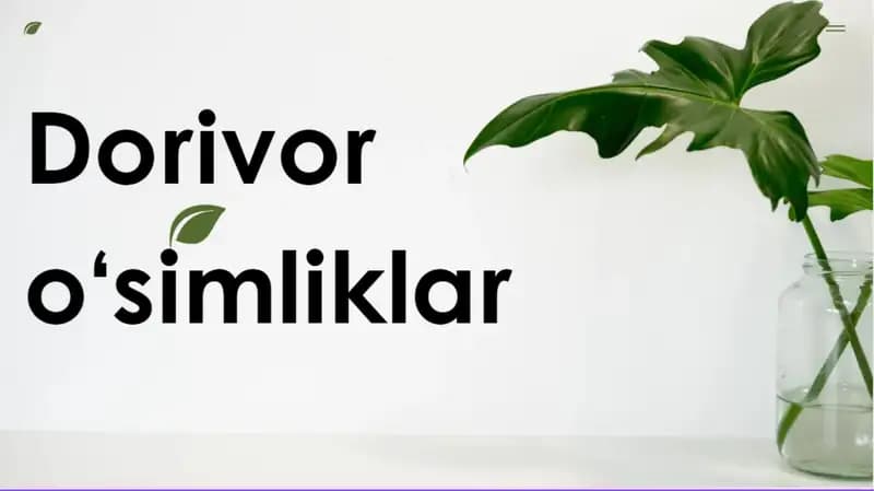 Dorivor o'simliklar
