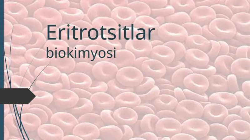Eritrotsitlar biokimyosi