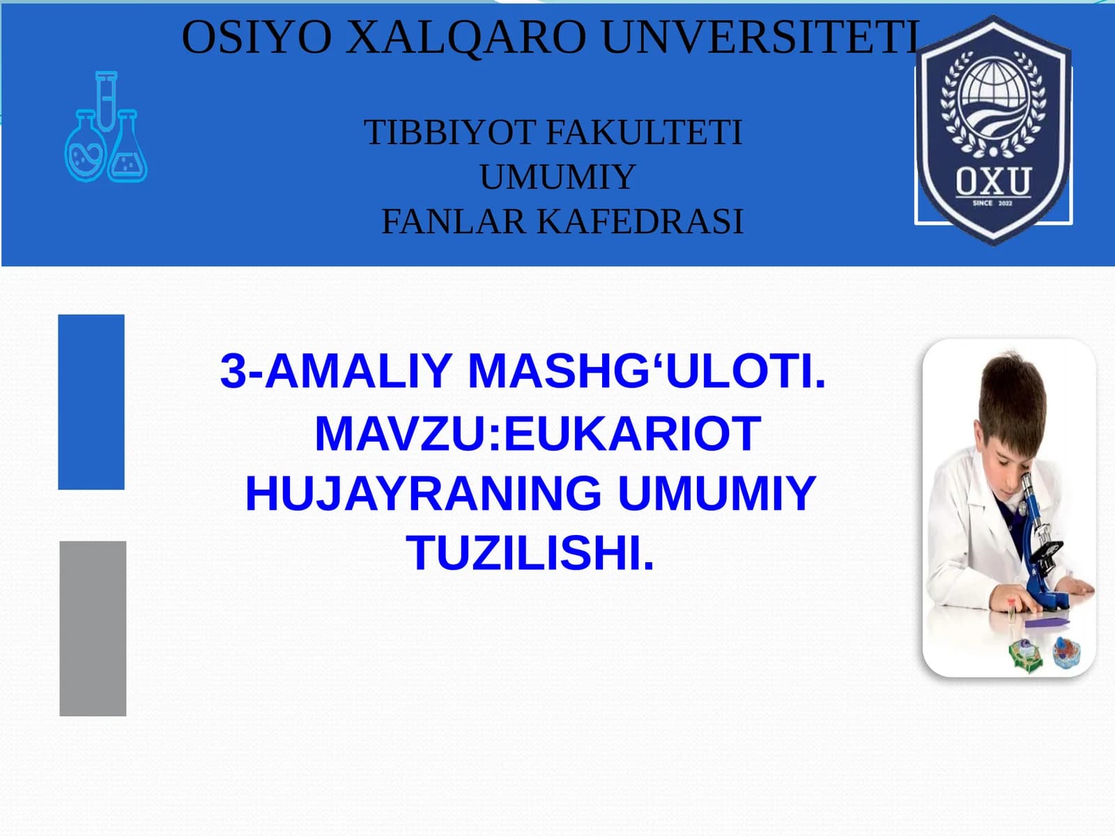 Eukariot Hujayraning Umumiy Tuzilishi