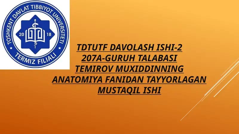 Yon qorincha variant anatomiyasi klinik ahamiyati