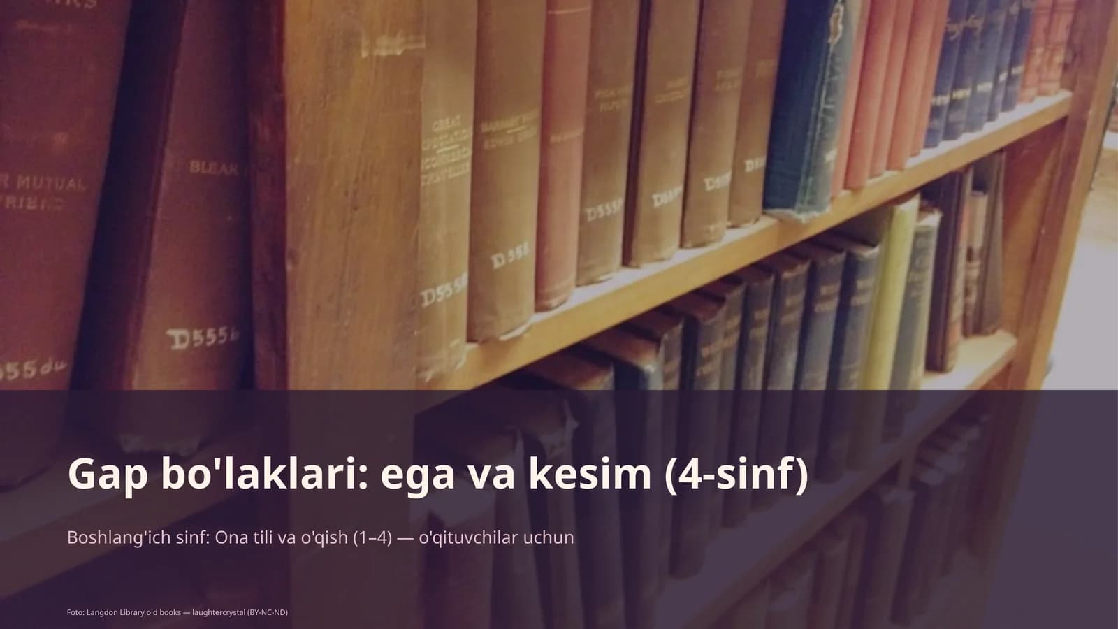Ega va kesim