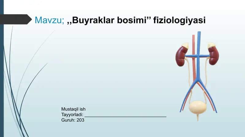 Buyraklarbosimi’’fiziologiyasi