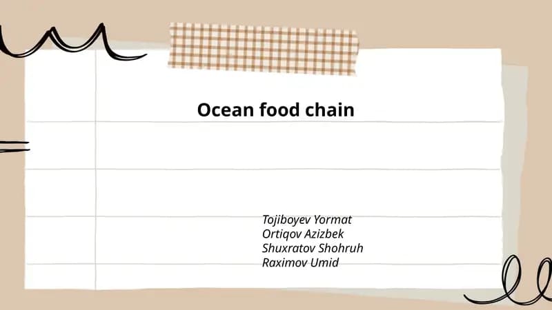 Ocean food chain