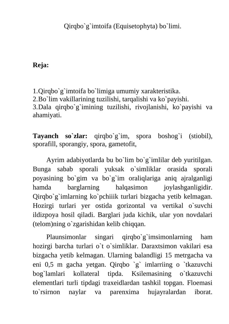 Qirqbо`g`imtoifa (Equisetophyta) bо`limi.