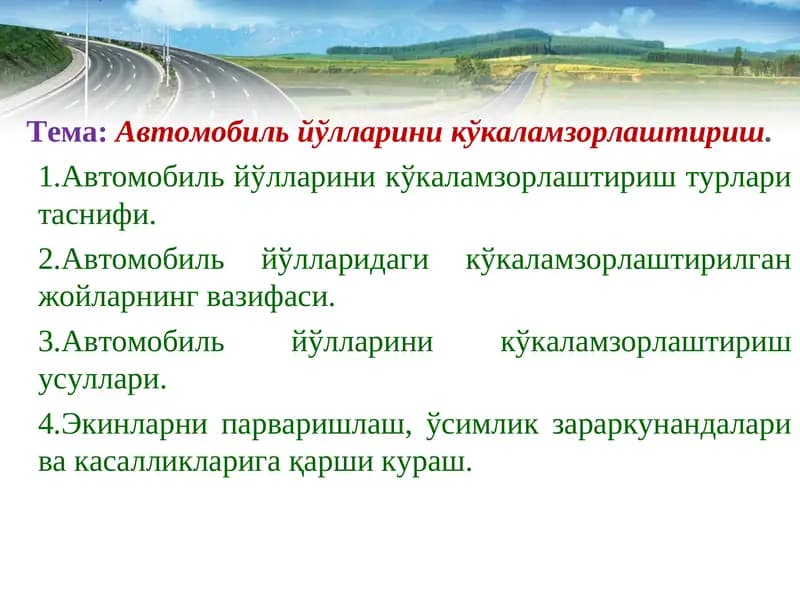 Автомобиль йўлларини кўкаламзорлаштириш
