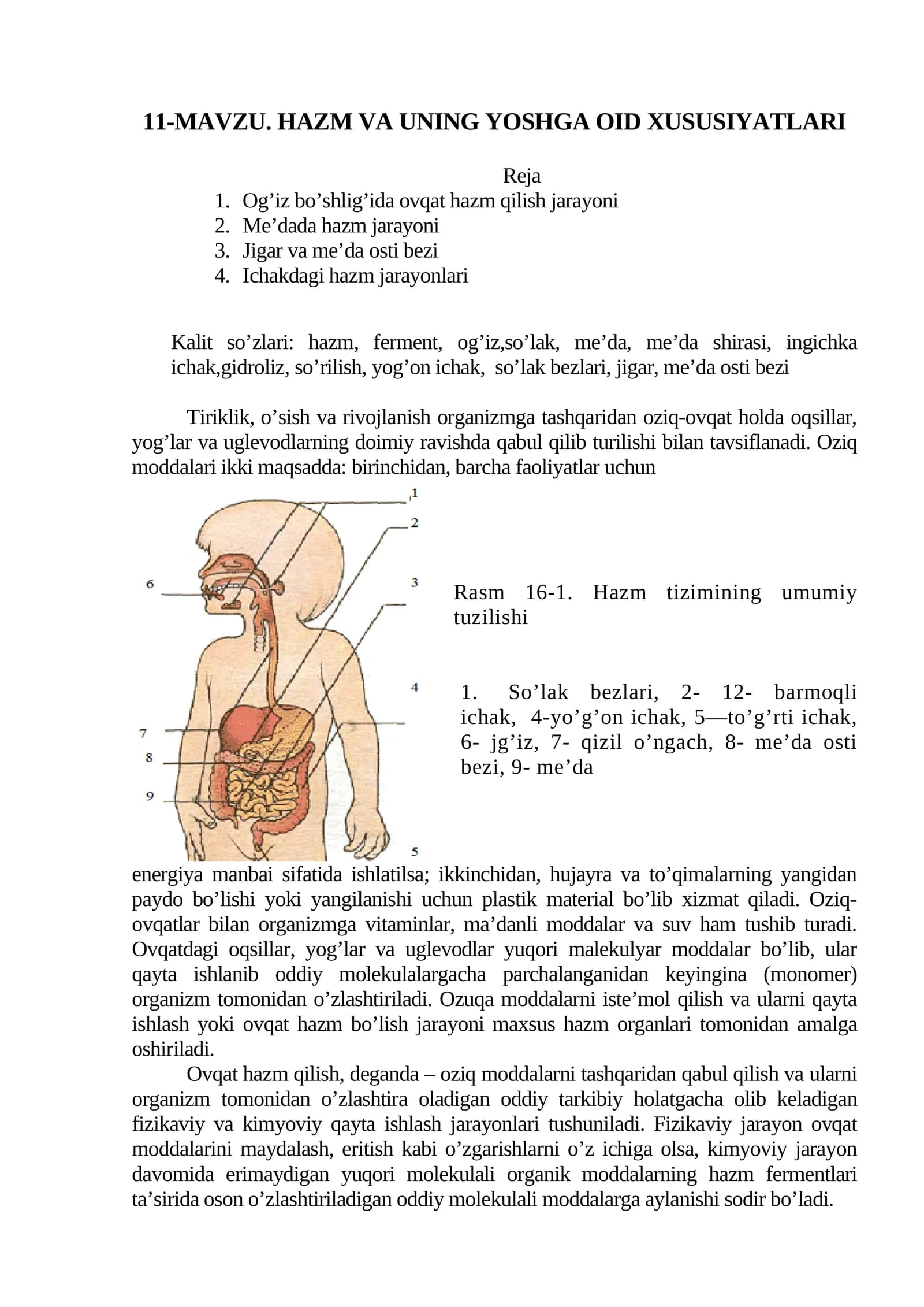 11-mavzu. Hazm va uning yoshga oid xususiyatlari