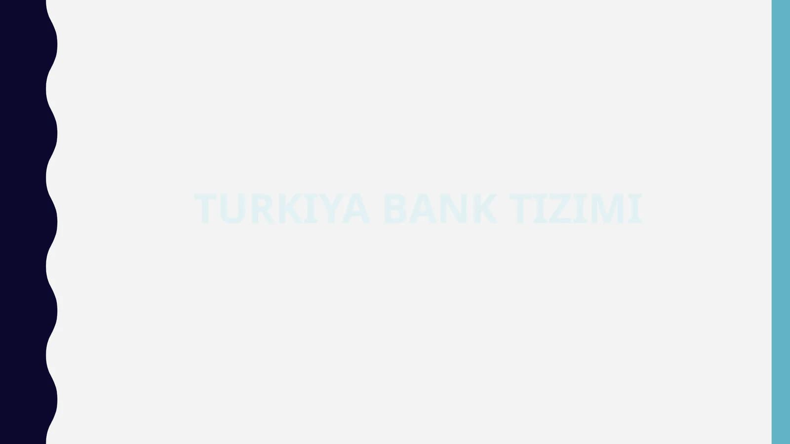 Turkiya Bank Tizimi
