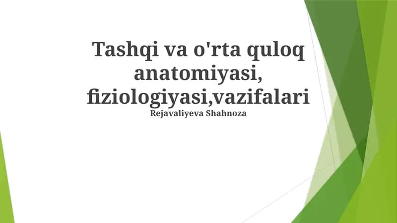 Tashqi va o'rta quloq anatomiyasi