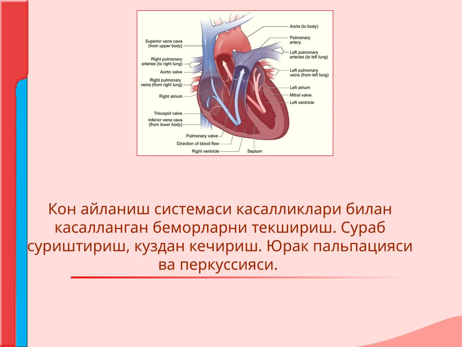 Кон айланиш системаси