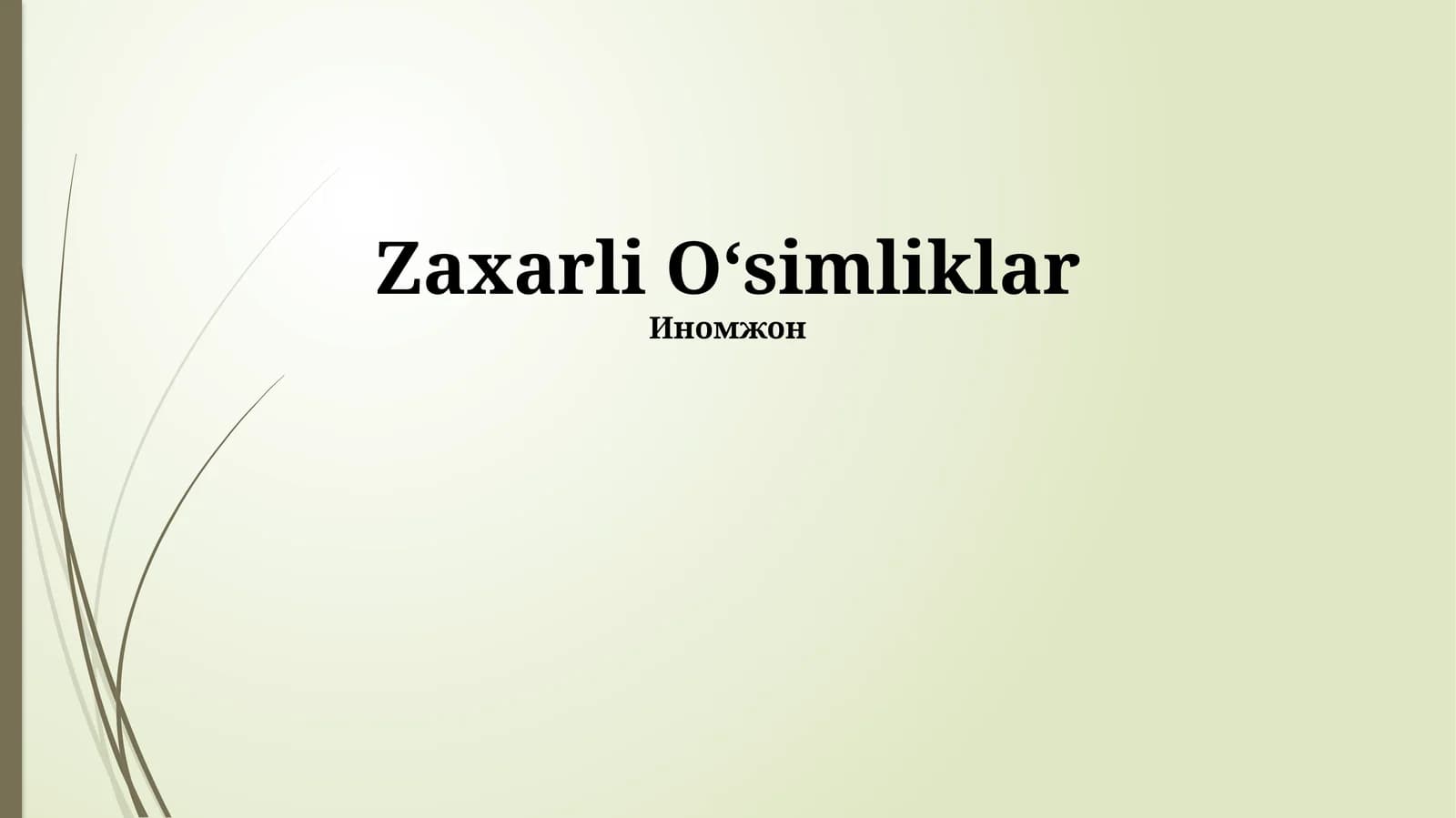 Dorivor O'simliklar
