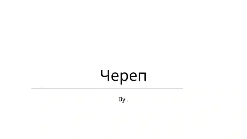 Череп