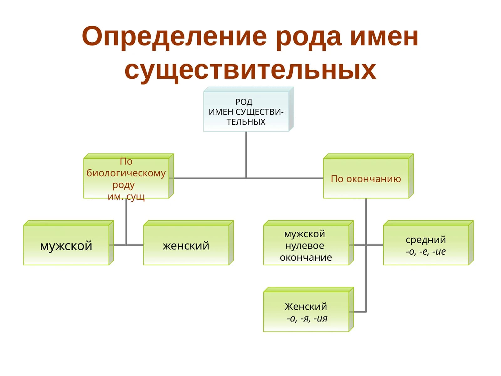 Определение рода имен существительных